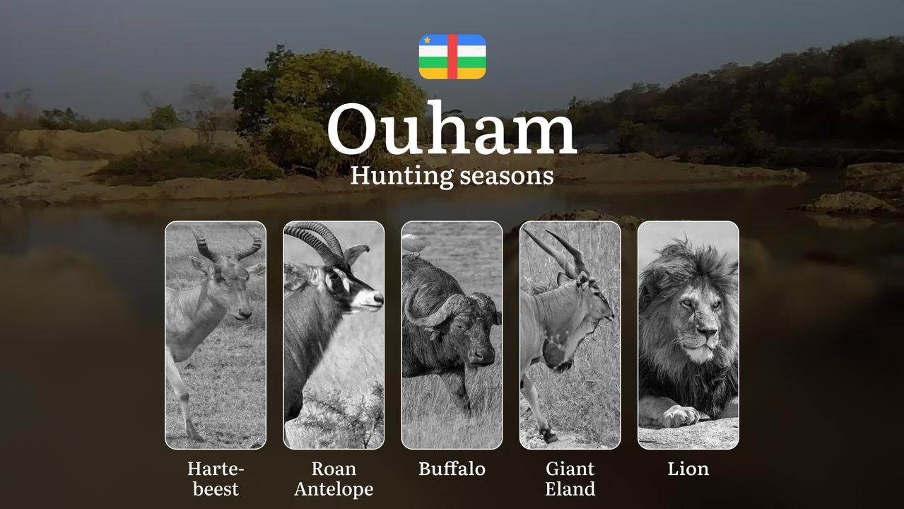 Hunting Calendar in Ouham: The Thrill of Hunting Events and Traditions, Legislation & General Hunting Rules and Permits