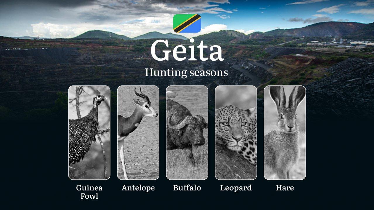 Official Hunting Timeline in Geita: Legal Limits and <strong>Seasonal</strong> Bans, Licensing Rules, Fines and Consequences for Breaches, Strategic Planning, Best Timing