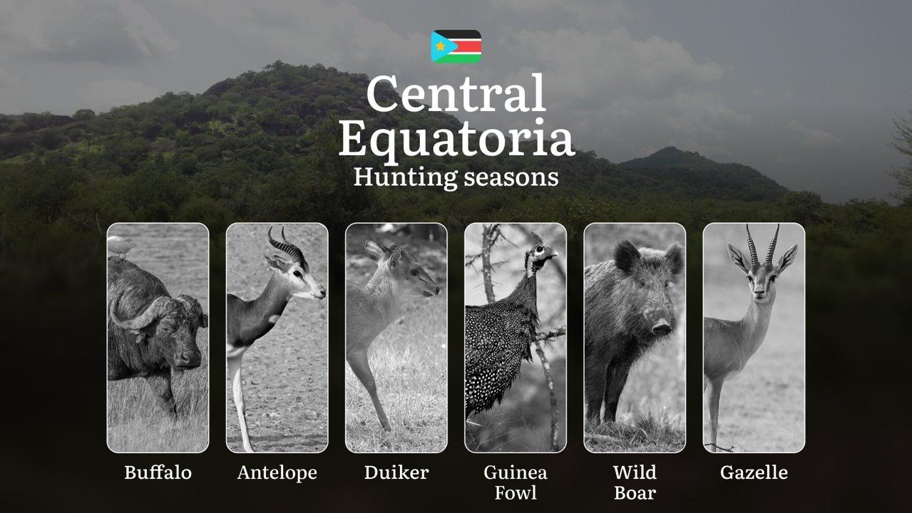 Hunting Dates in Central Equatoria: Game Seasons and Animal Movements, Licensing and Application Steps, Legal Restrictions and Seasonal Bans

South Sudan’s Central Equato