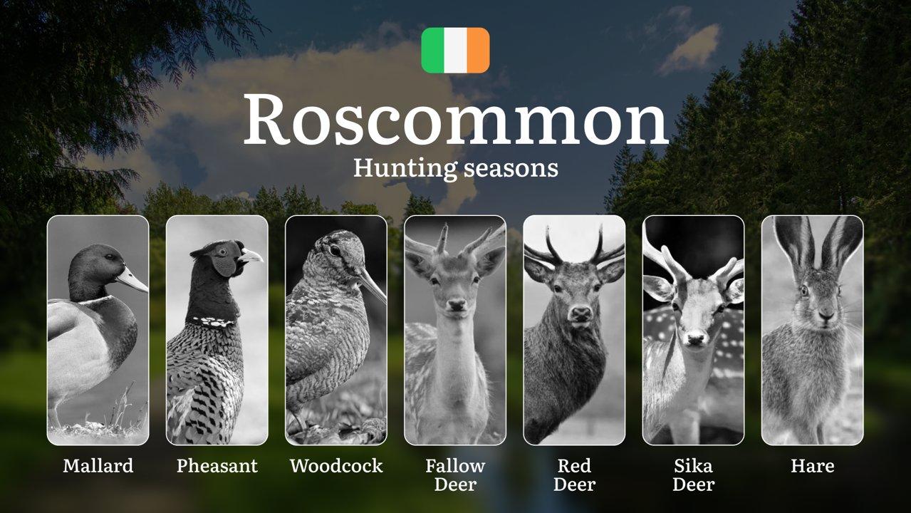 Discover the Best Hunting Seasons in ROSCOMMON: Calendar, Key Dates, Licenses, and Prime Game Opportunities

General Hunting Rules and Seasons in Roscommon

In Roscommon,