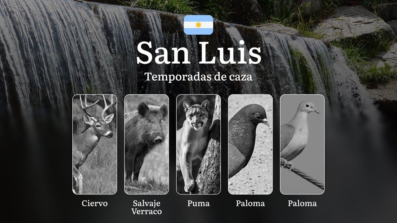 San Luis, Argentina: guía completa sobre temporadas, reglas y mejores épocas para la caza, regulación y fechas clave y permisos