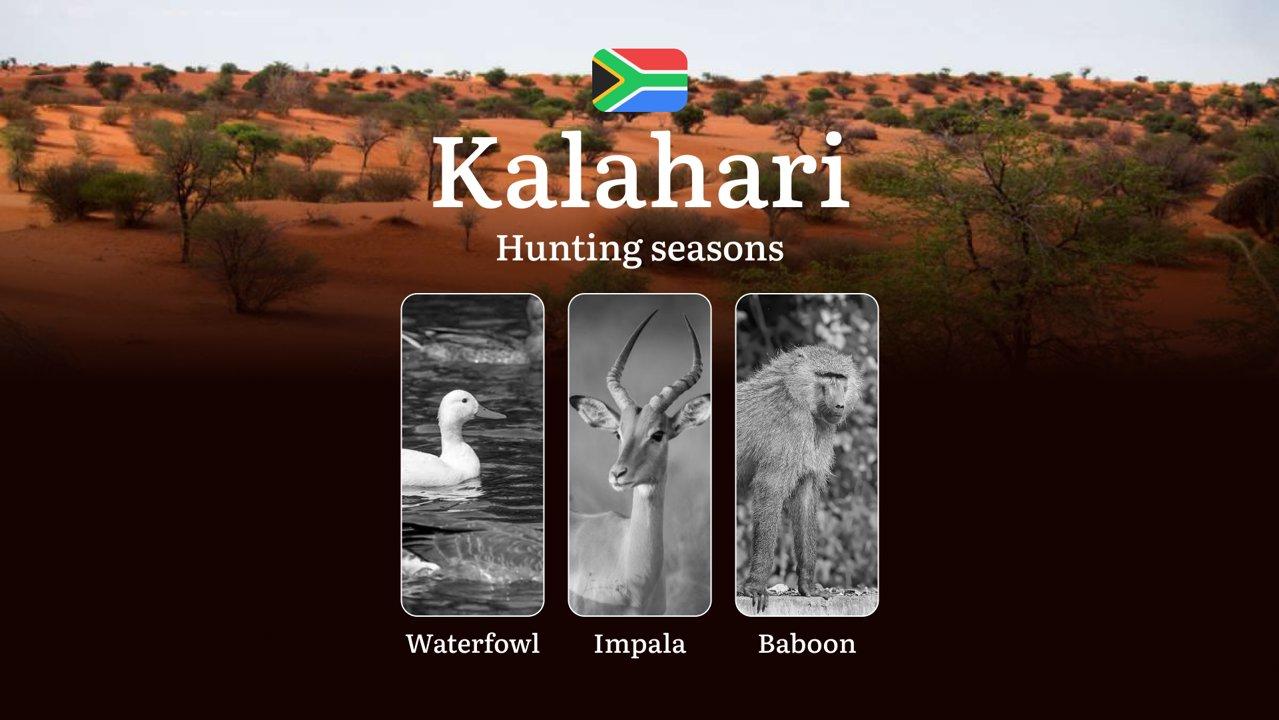 Seasons of Hunting in the Kalahari, South Africa: Dates and Times of Hunting, Penalties and Restrictions, Limits and Rules