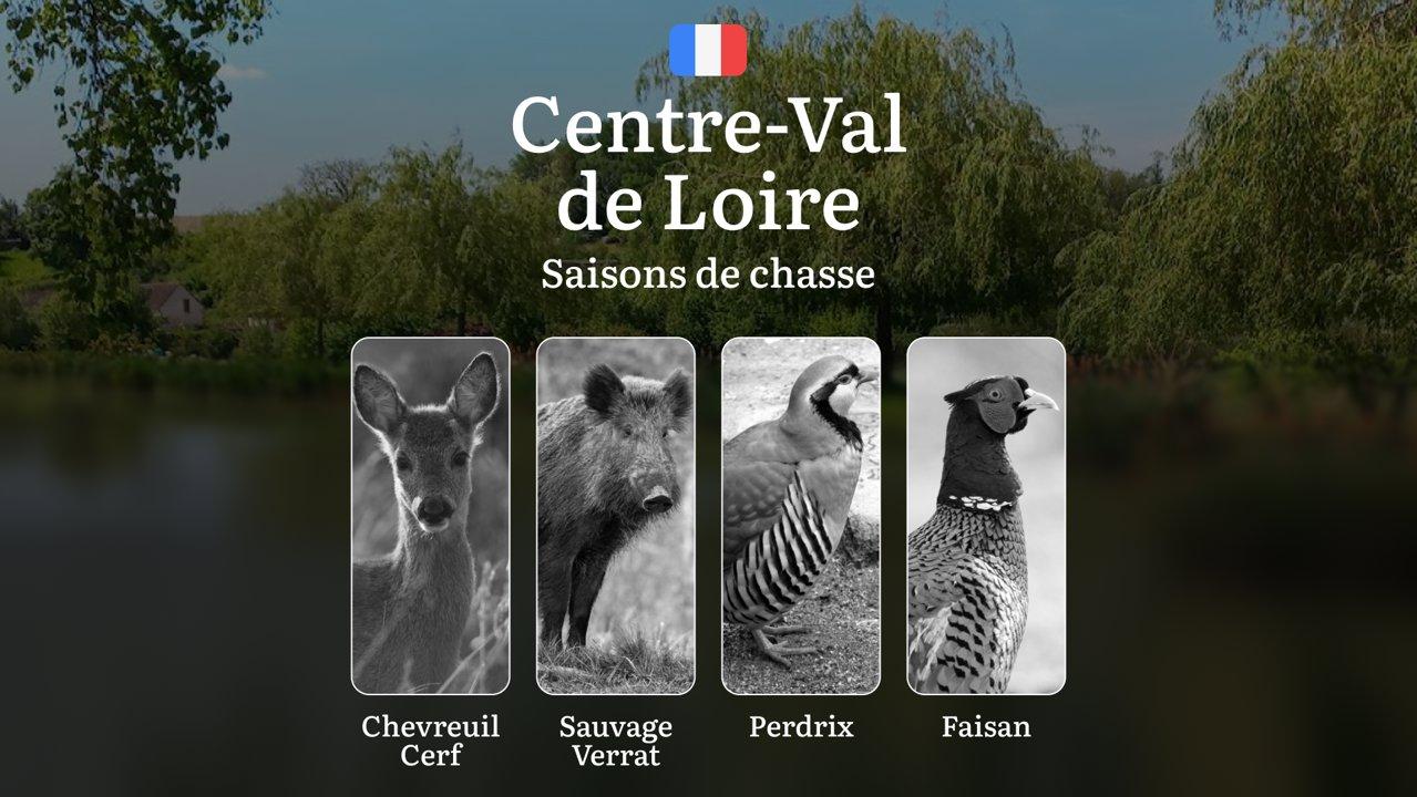 Saisons de chasse en CENTRE-VAL DE LOIRE: Calendrier Complet, Règles Générales, Restrictions à Connaître et Conseils Pratiques