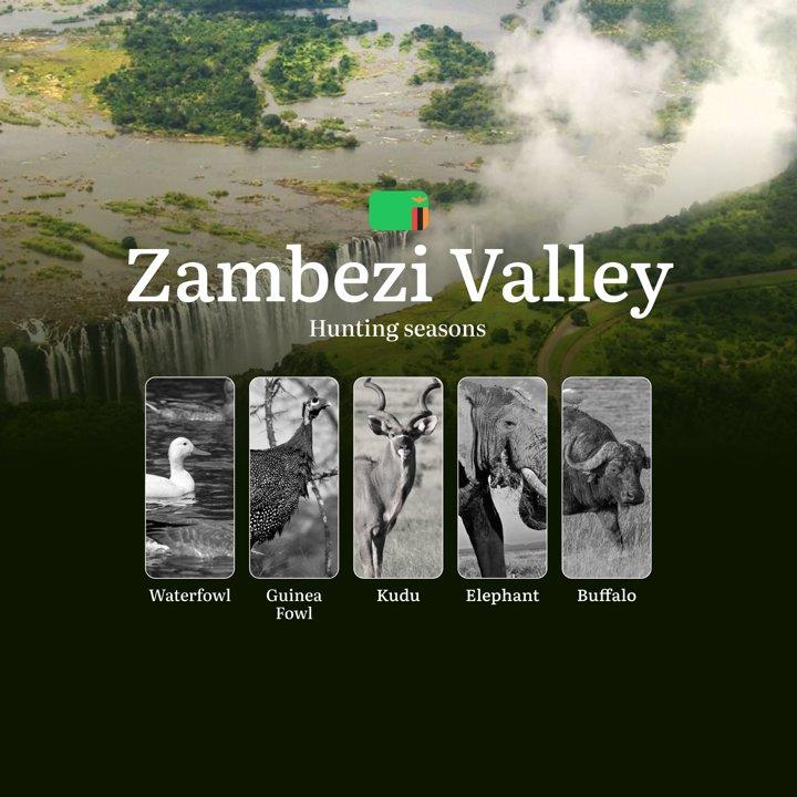 Unlocking the Wild: Prime Hunting Seasons, Regulations, and Trophy Opportunities in Zambia’s Zambezi Valley