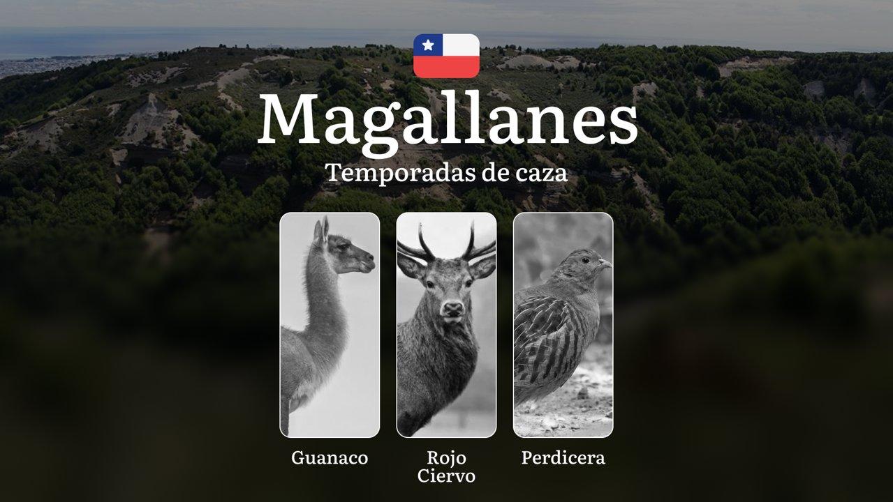 Región de Magallanes Temporadas de caza en Chile: épocas, permisos y reglas, restricciones, límites y especies protegidas