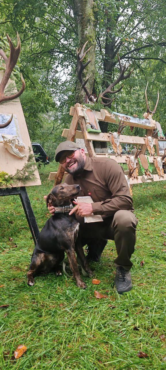 38-я Гродненская областная выставка охотничьих собак в Вороново: белорусский гончак, породы, чемпионы и будущее охотничьего собаководства