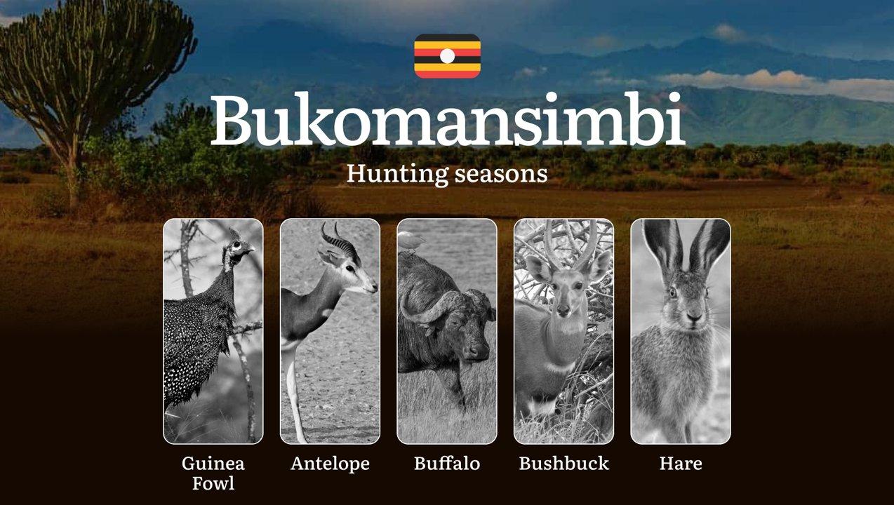 Permitted Hunting Intervals <strong>in</strong> Bukomansimbi: Year-Round Huntable Wildlife, Seasonal Migration of Game, and the Process <strong>for</strong> Securing a <s