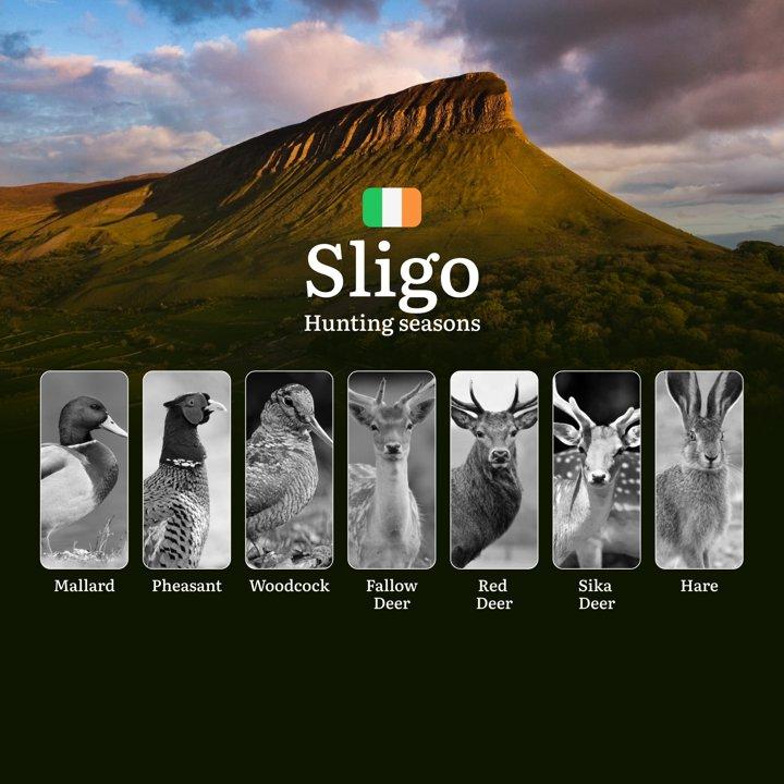 Mastering the Hunting Seasons in SLIGO, Ireland: Key Dates, Regulations, and Prime Game Opportunities

General Hunting Rules and Seasons in Sligo

Hunting seasons in Slig