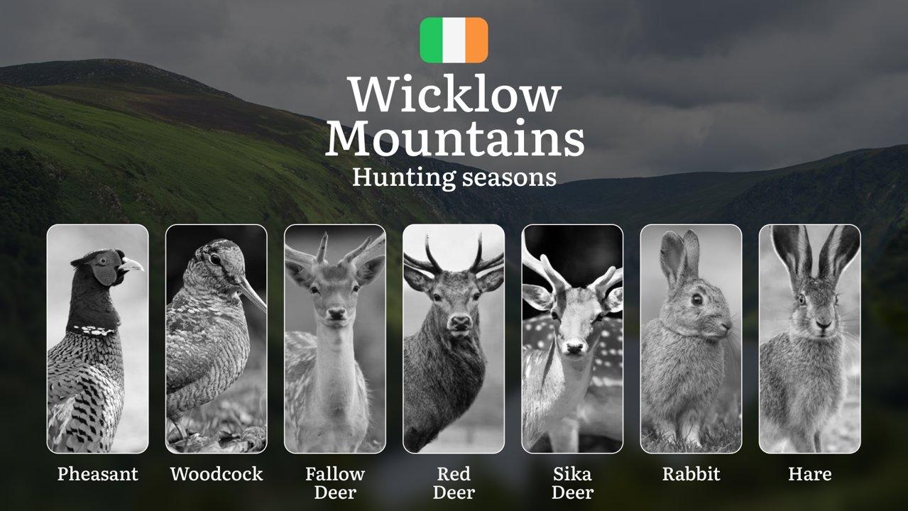 From Autumn Stags to Winter Woodcock: Decoding WICKLOW'S Hunting Calendar, Restricted Zones, and Expert Strategies for Mountain Game

General Hunting Rules and Seasons in