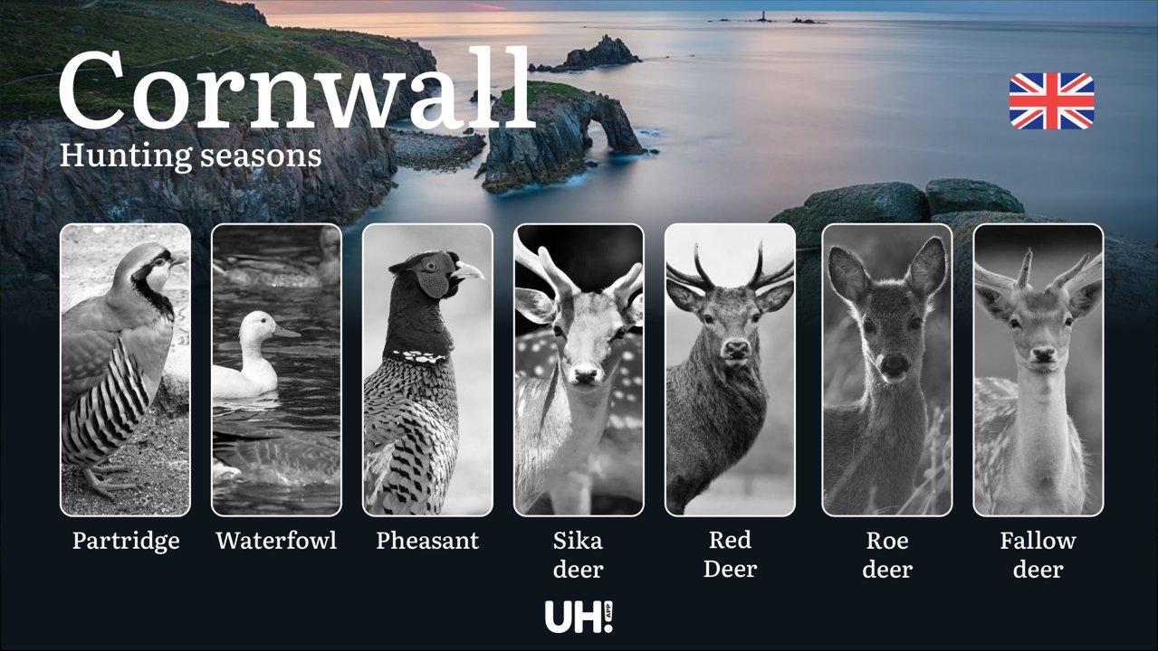 Exploring Hunting Seasons and Legal Guidelines in Cornwall: Game Regulations, Species Protection, Licensing, Penalties, and Expert Tips for a Safe and Successful Hunting Experience
