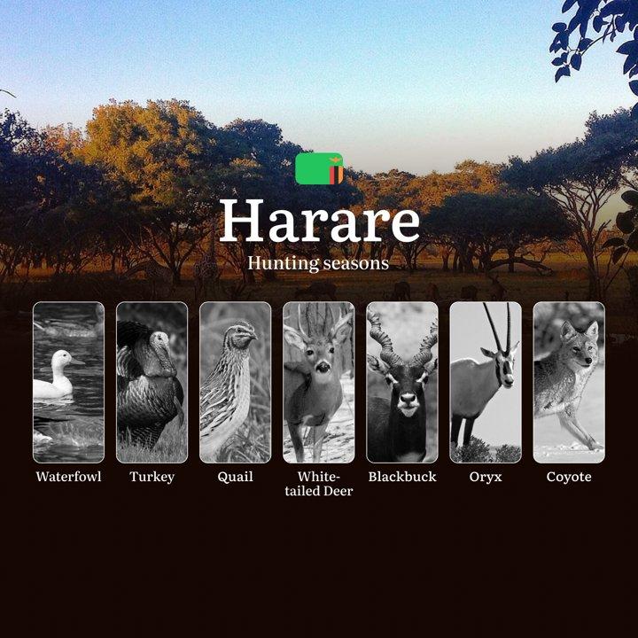 When the Wild Calls: Hunting Seasons, Hunting Calendar and Prime Times in Zambia's Harare Region

General Hunting Rules and Timings in Harare Region

The Harare region of