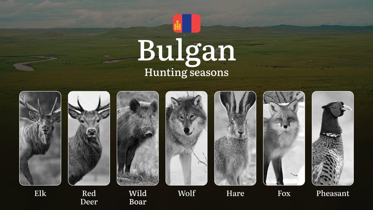 Hunting Seasons in Bulgan Province: Regulations, Permits, and Time for Hunting, Documents and Organizations

Bulgan Province is a prime destination for hunters seeking di