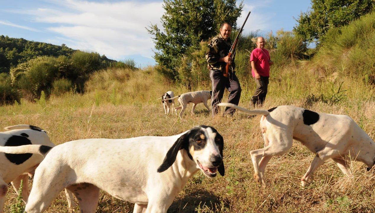La chasse dans l’OISE: Forêts historiques, gibier varié, traditions nobiliaires et gestion cynégétique rigoureuse en région Hauts-de-France