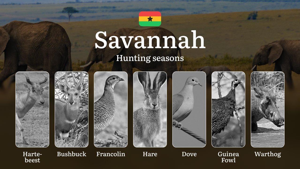 Hunting Laws and Seasons in Savannah: General Hunting Rules, Permits, Restrictions & Time-Honored Events 