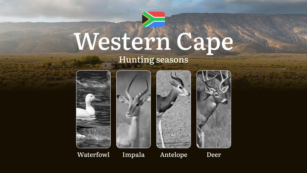 Hunting Dates in South Africa, Western Cape Region: Seasons and Periodas, Licensing, Regulations and Times for Hunting

Regulation of Hunting Periods in Western Cape, Sea