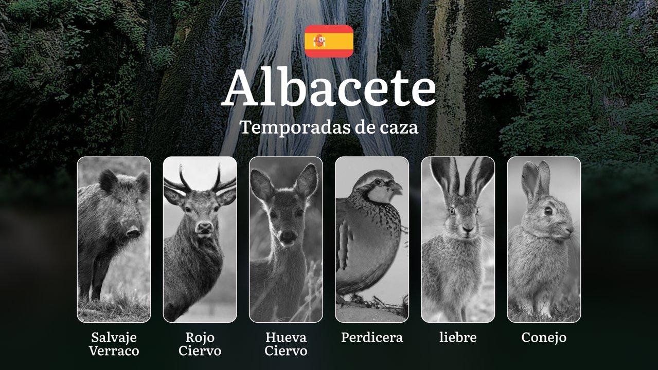 Temporadas y períodos de caza en ALBACETE: Fechas, Especies y Normativas para el Cazador