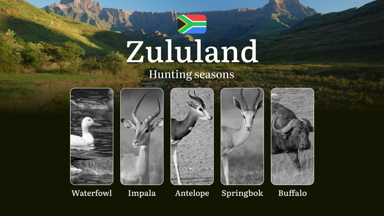 Hunting Seasons in South Africa, Zululand Region: Seasons and Periods, Regulations and Rules, Limits and Permits for Hunters

Hunting Rules and Periods in Zululand

Hunti