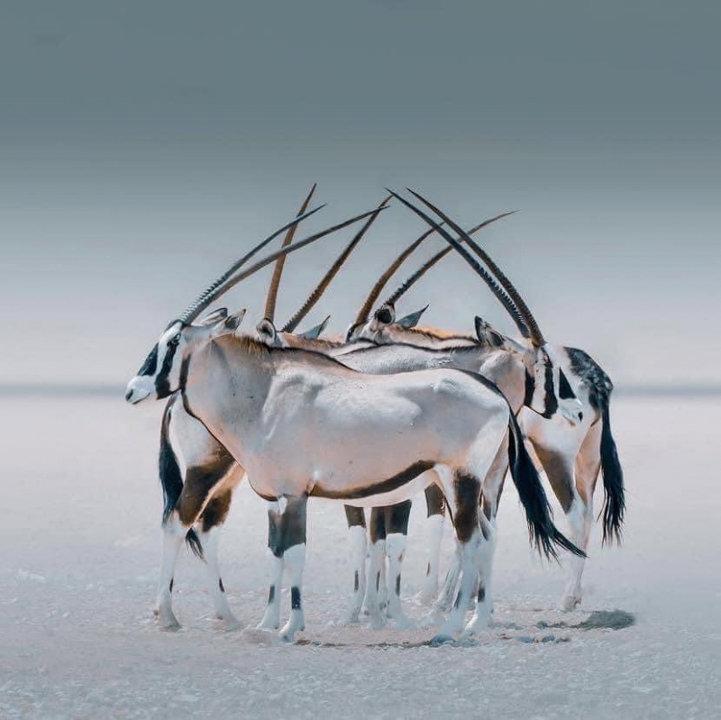 Perfect symmetry