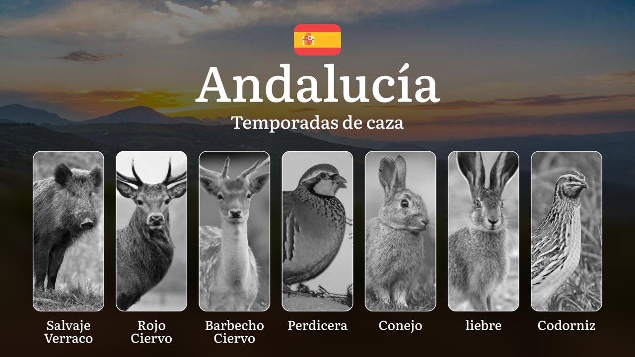 Temporadas de Caza en ANDALUCÍA: Temporadas y períodos de caza, Normativas, Épocas Clave y Licencias para una Práctica Legal y Exitosas