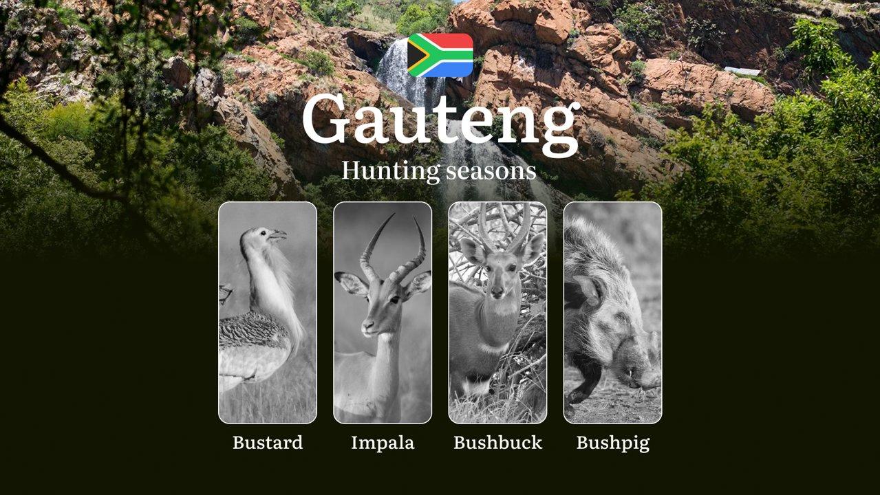Hunting Dates in South Africa’s Gauteng Region: Hunting Periods, Open and Close Dates, Licenses, Rules, and Times for Hunting