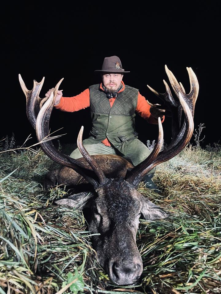 Red deer