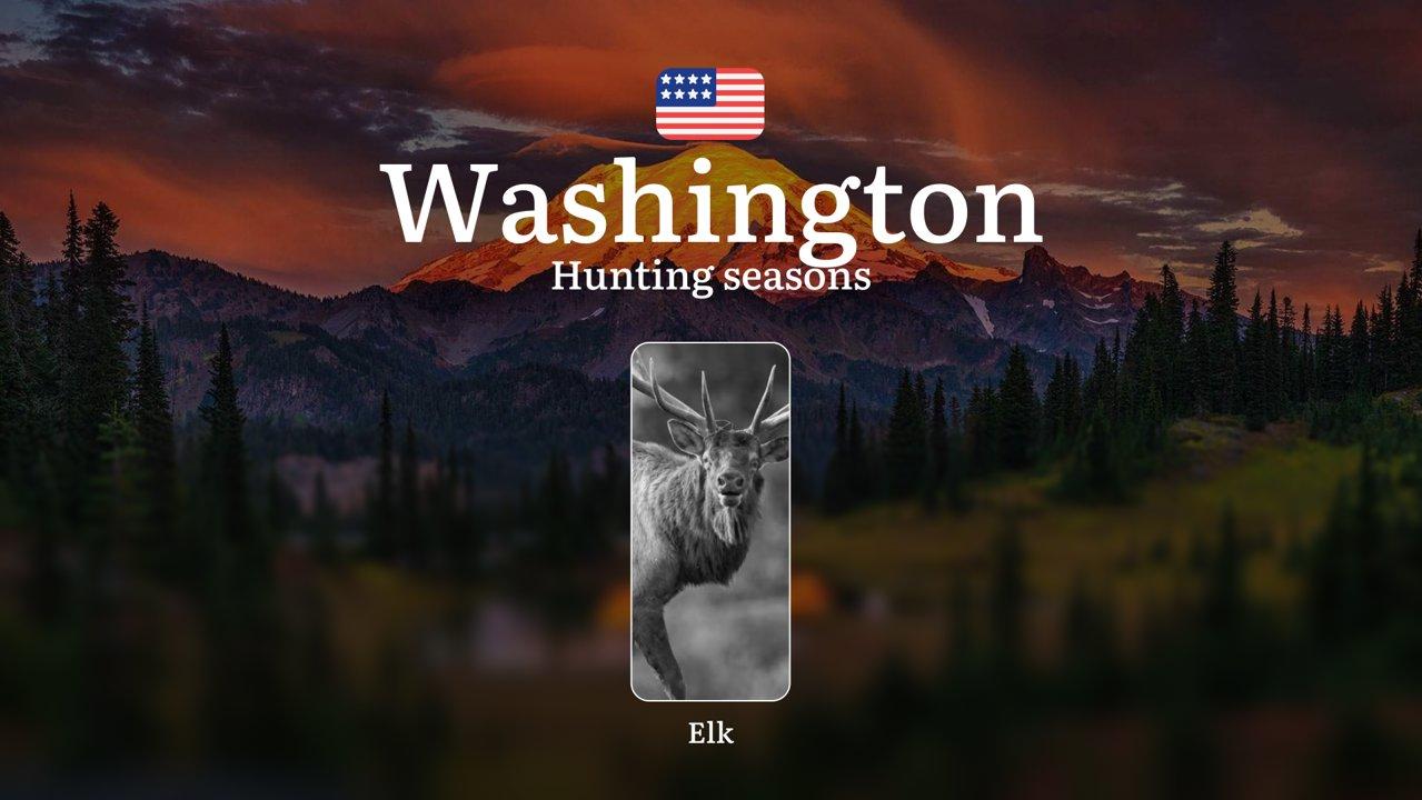 Elk Hunting Seasons in Washington State: Hunting Dates, Timing, Regulations, and Practical Tips for hunters