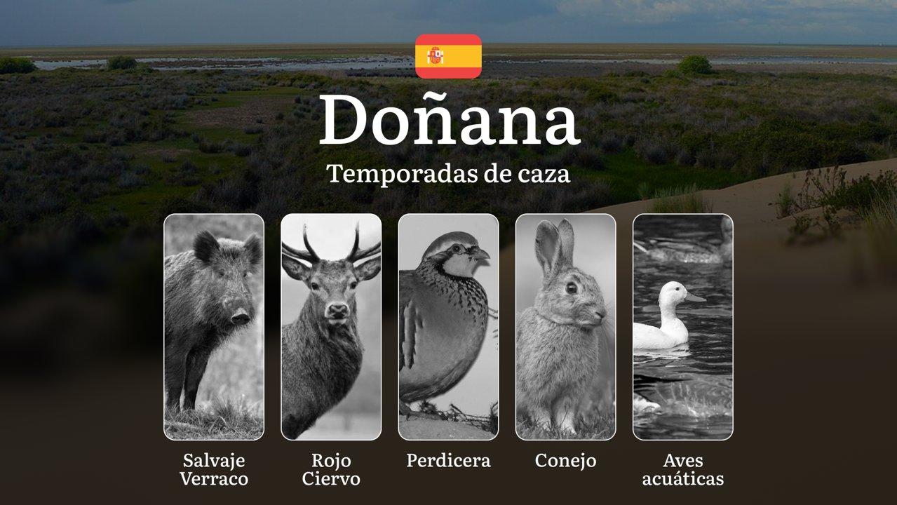 Gestión Cinegética en DOÑANA: Temporadas y períodos de caza, Cupos Estrictos, Licencias con Restricciones y Monitoreo Científico