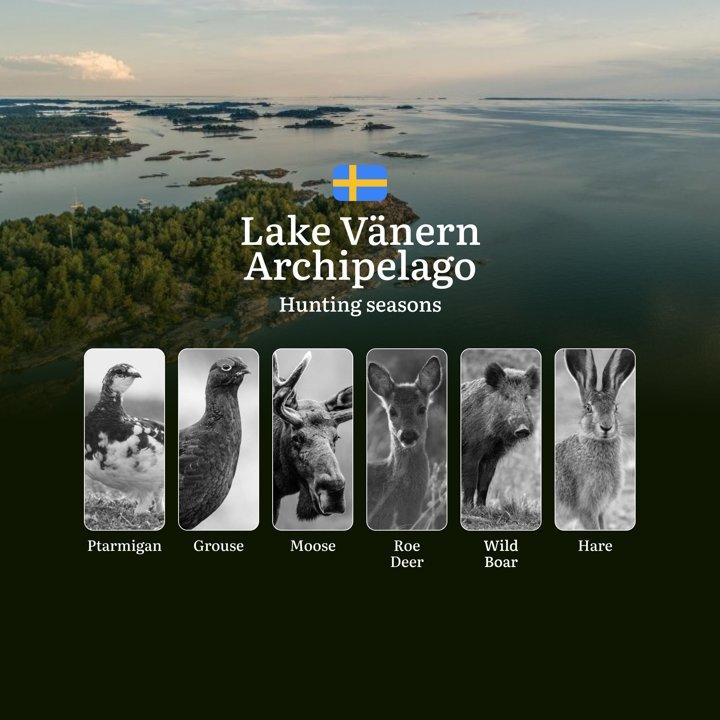 Hunting Periods and Permits in VÄNERN ARCHIPELAGO: A Detailed Look at Game Movement Throughout the Year, Seasonal Limits, and How to Apply for a Hunting License in the Ar