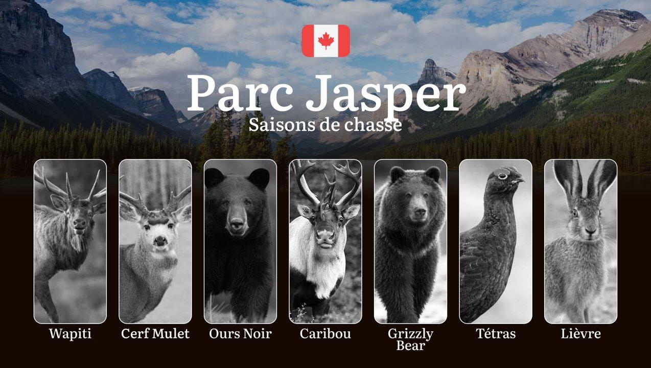 Les périodes de chasse dans le PARC JASPER: Le calendrier complet, les règles spécifiques du parc national et nos conseils pratiques 