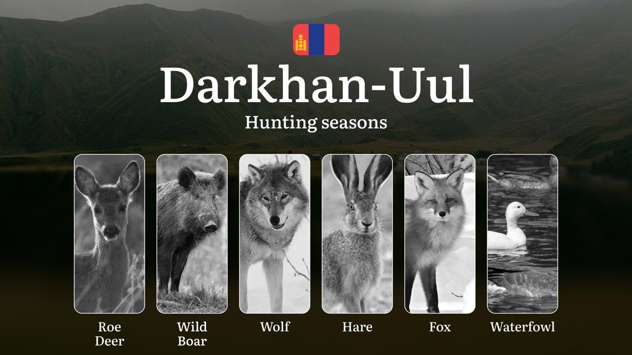 <strong>Hunting</strong> Periods and Permits in Darkhan-Uul Province: A Detailed Look at Game Movement Throughout the Year, Seasonal Limits, and How to Apply for a <stron