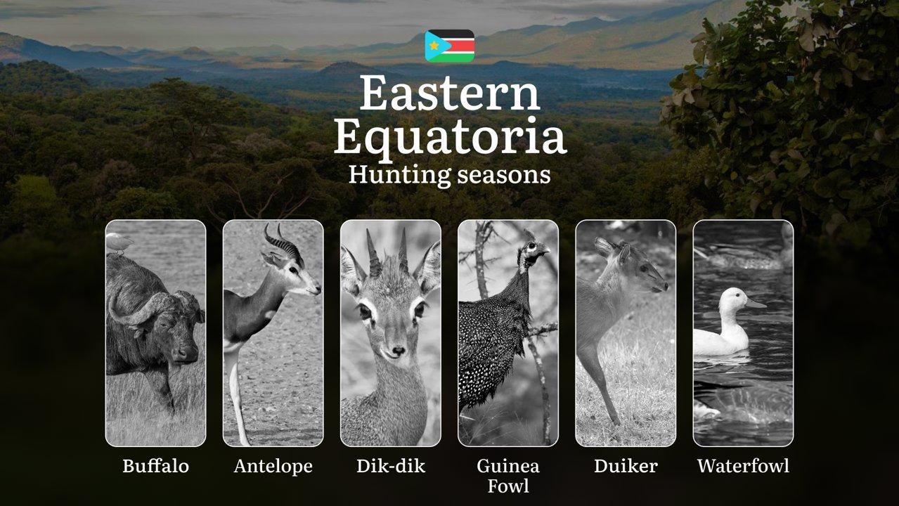 Hunting Calendar for Eastern Equatoria: Regulations, Permits, and Best Times for Hunting

South Sudan’s Eastern Equatoria offers a unique hunting experience with its dive