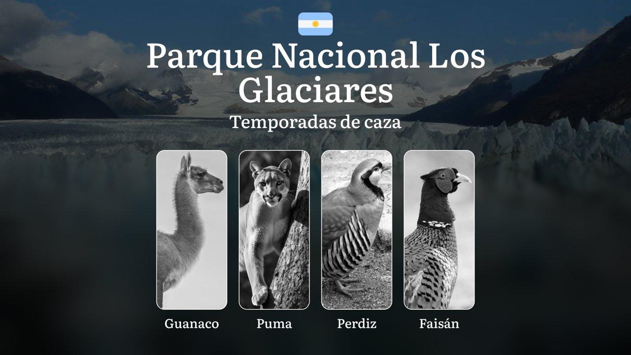 Parque Nacional Los Glaciares, Argentina: normas generales y temporadas, fechas, reglas y particularidades, restricciones y prohibiciones

Normas generales y temporadas d
