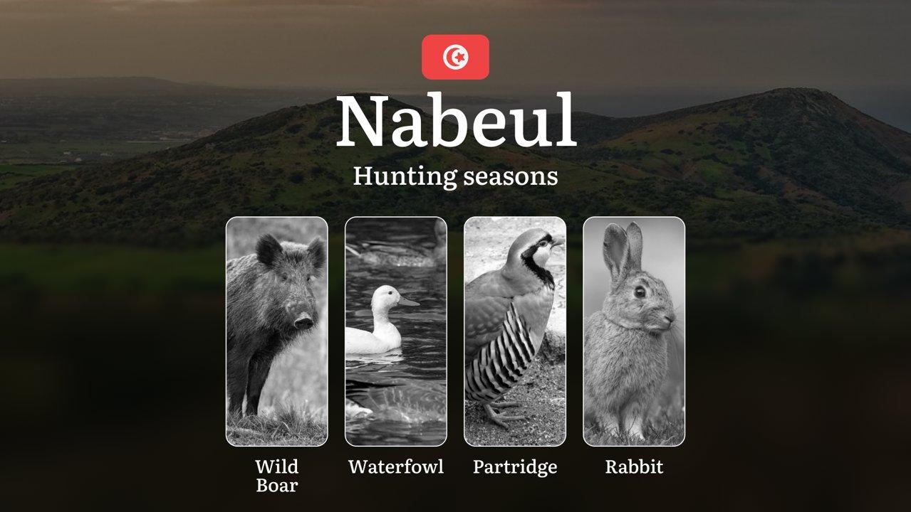 Hunting Seasons in NABEUL: Opening and Closing Dates, Peak Activity Periods, Protected Species,  Regulatory Restrictions,  Licensing Procedures and Equipment Recommendations