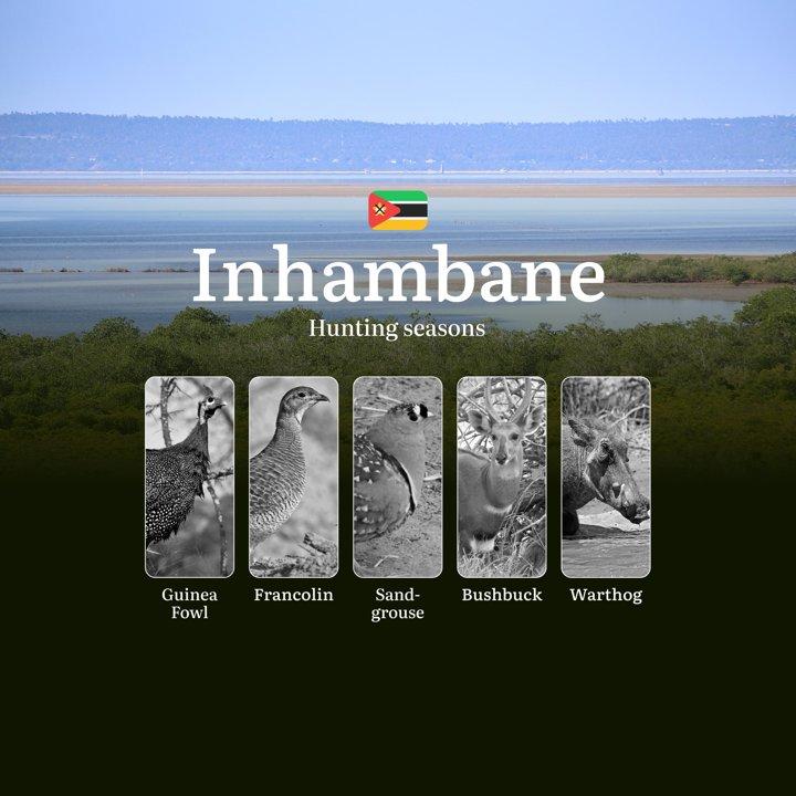 The Forgotten Frontier: Ethical Hunting Calendar in Inhambane's Miombo Woodlands and Riverine Forests