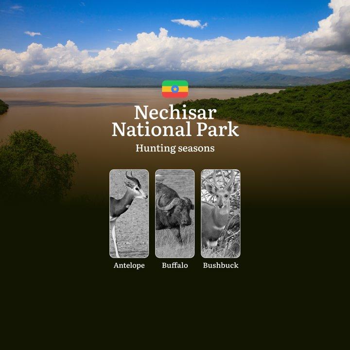 Seasons of Hunting in NECHISAR NATIONAL PARK, Ethiopia: Seasons and Dates of Hunting, Licenses, and Features, Timing, Tactics