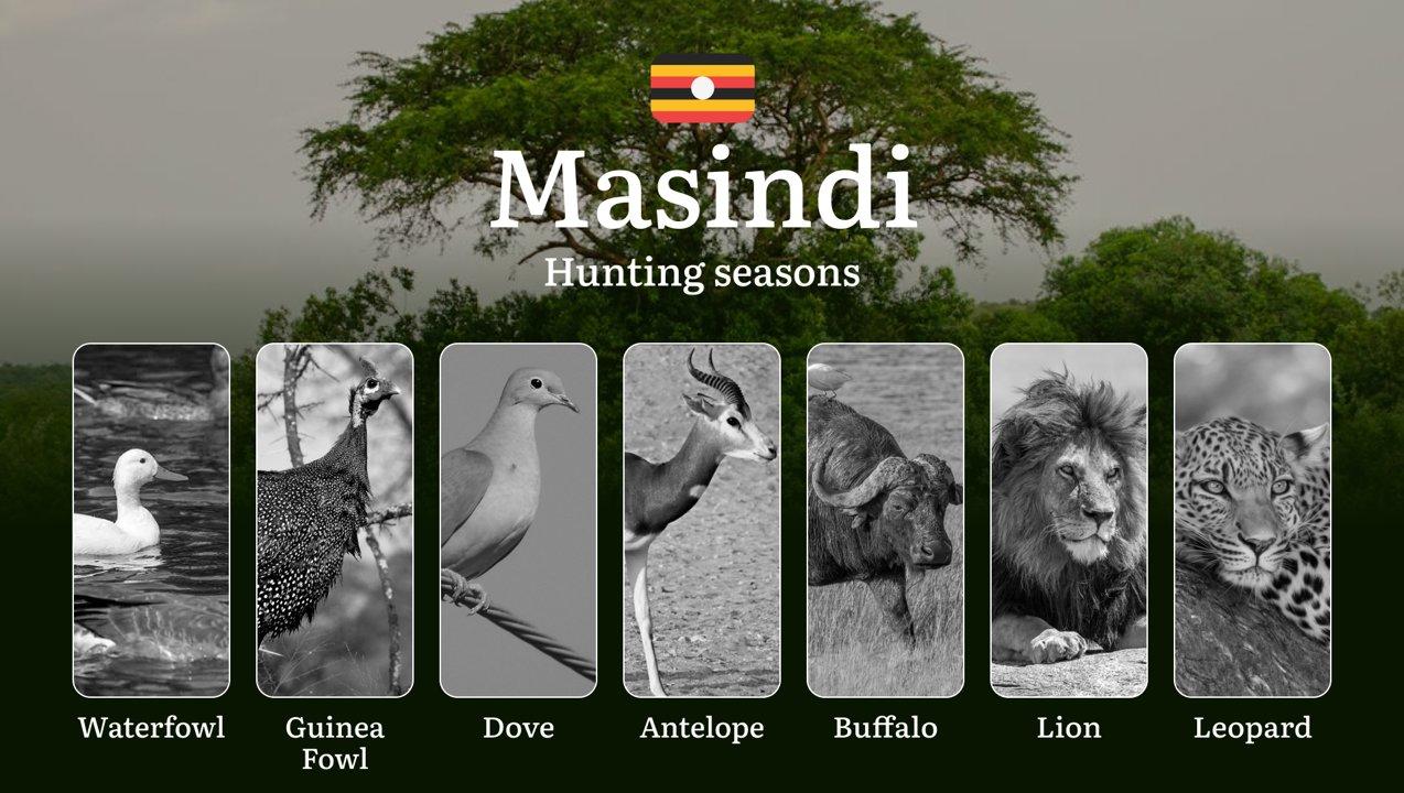 Scheduled Hunting Times in Masindi: Area Regulations, Steps to Obtain a Hunting License, Sanctions for Breaching Hunting Periods, Tips on Timing, Gear Selection, and Hunting Methods