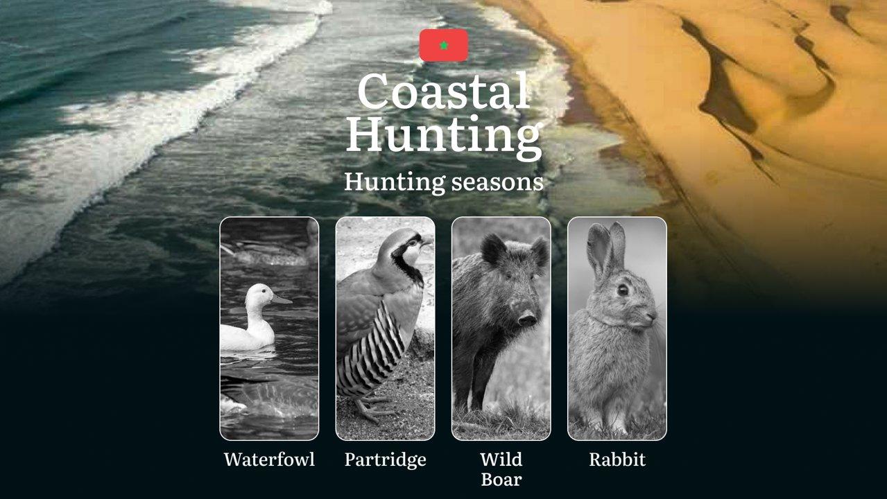 Coastal Hunting in Morocco: Hunting Seasons and Timing, Regulations and Licensing, Required Documents and Procedures, Tips for Hunters

Morocco’s coastal regions offer un