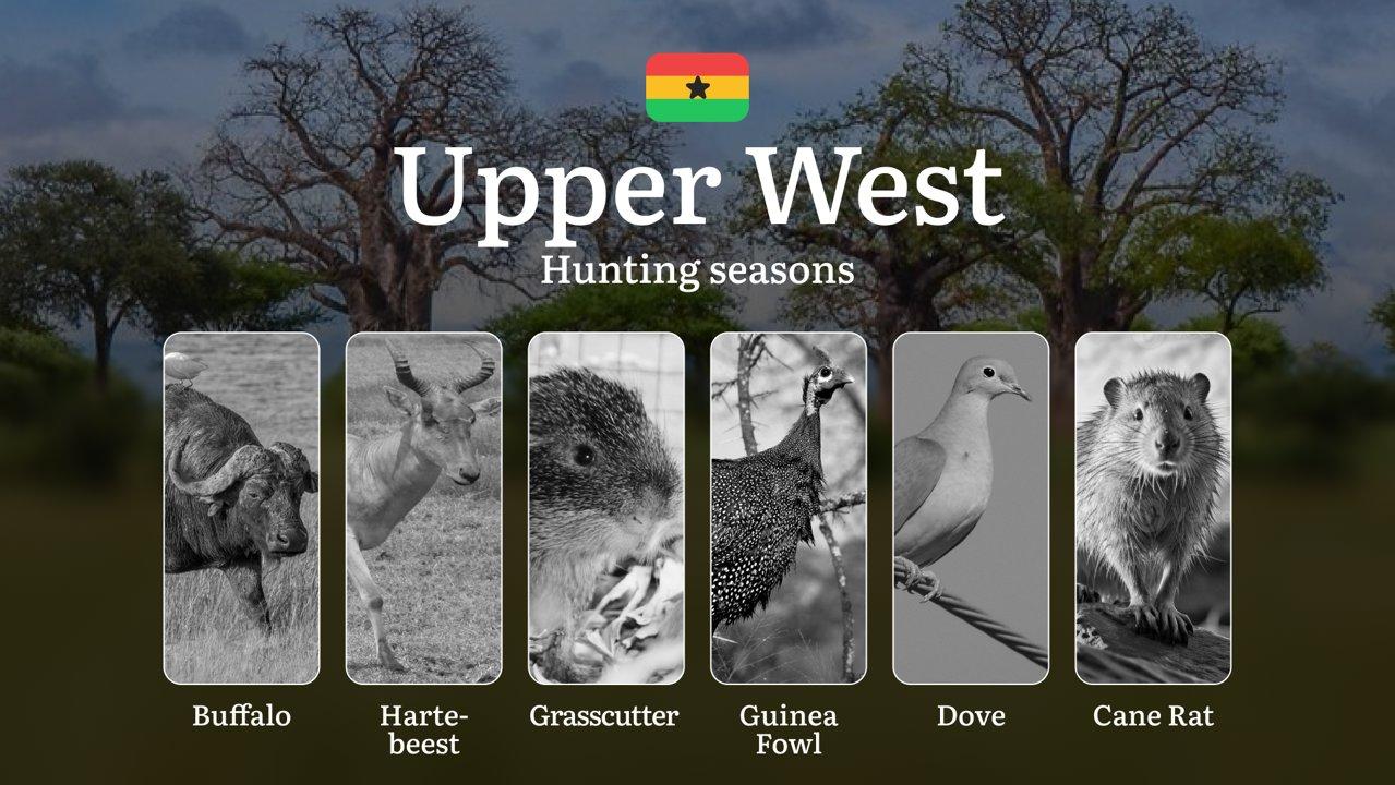 Hunting Calendar in Upper West: The Thrill of Hunting Events and Traditions, Legislation & General Hunting Rules and Permits