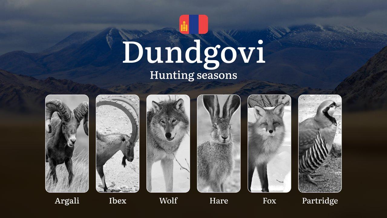 Hunting Periods and Permits in Dundgovi Province: A Detailed Look at Game Movement Throughout the Year, Seasonal Limits, and How to Apply for a Hunting License in the Are