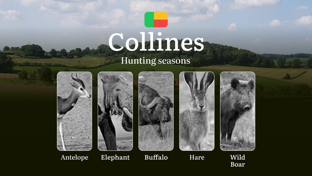 Hunting Seasons in Benin’s COLLINES Region: Hunting Periods, Licenses, Rules, Dates and Times for Hunting