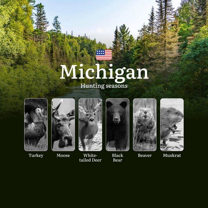 Hunting Seasons in Michigan: Timing, Regulations, Permits and Tactics, Restrictions and Bans, Fines and Legal Liability

Hunting in the state of Michigan is not only an e