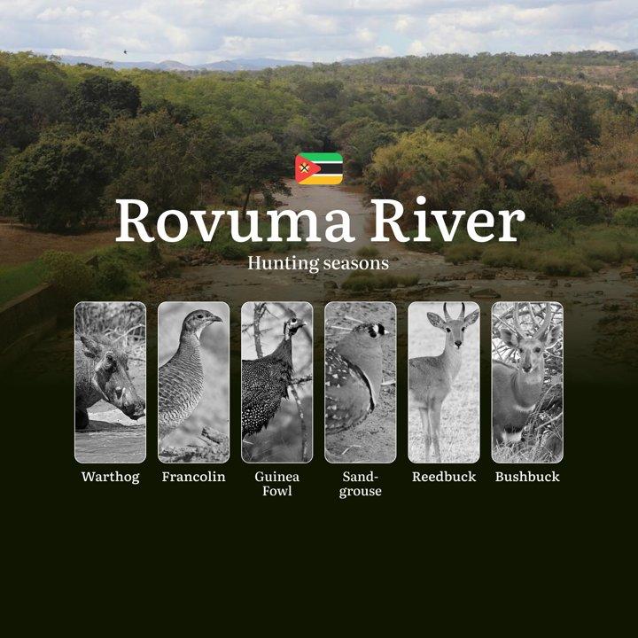 A Hunter’s Calendar to Rovuma River Region in Mozambique – Rules, Timing, and Tactics