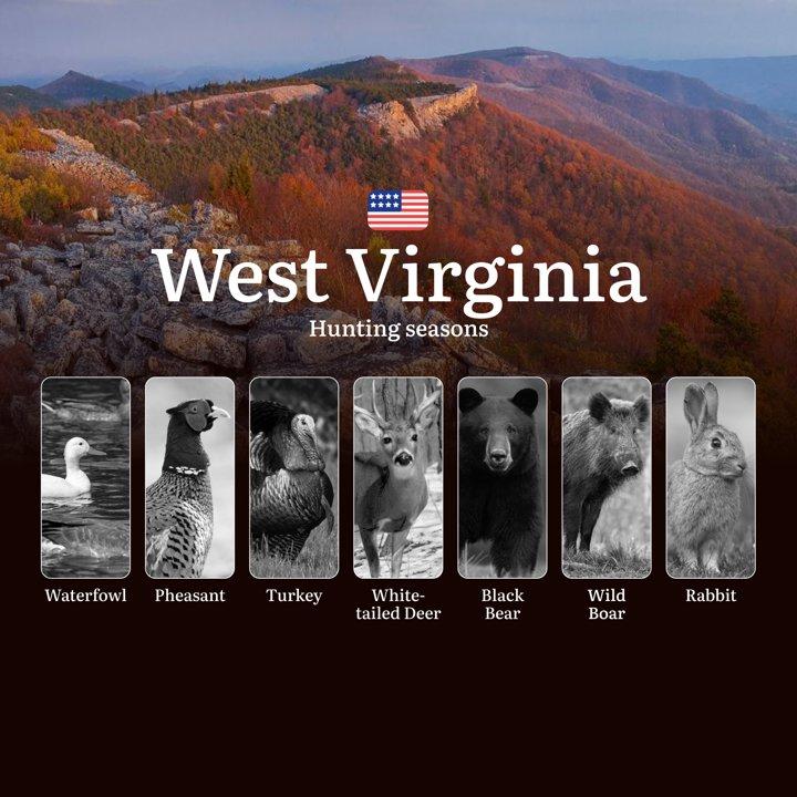 West Virginia, USA: Hunting Seasons and Periods, Openings and Closings, Licenses, Rules, Tips for Choosing the Right Time and Location

Hunting in the state of West Virgi