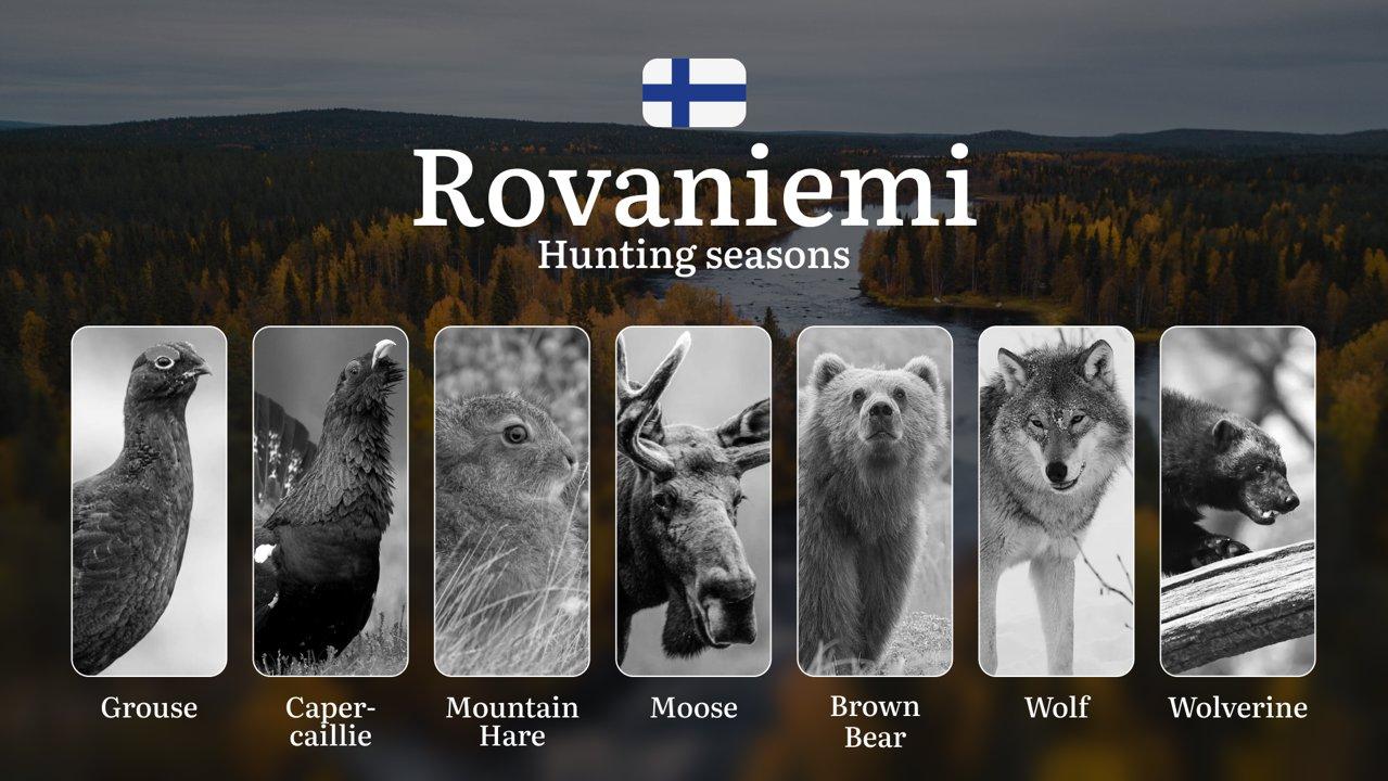 Hunting Seasons in ROVANIEMI: Opening & Closing Dates, Required Licenses, Key Regulations and Restrictions

Rovaniemi, the capital of Finnish Lapland, offers unique hunti