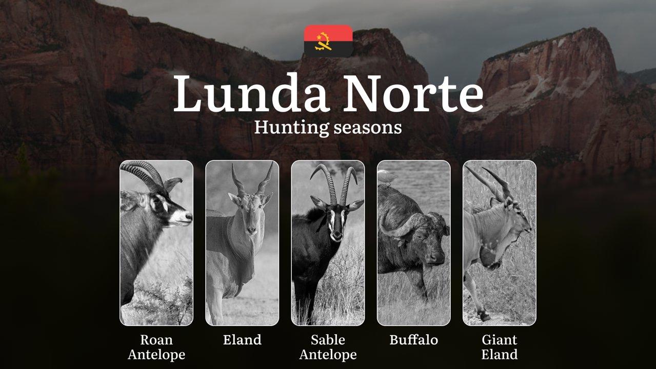 Hunting Through the Seasons in Lunda Norte: Rules, Permits & Cultural Events and Traditions