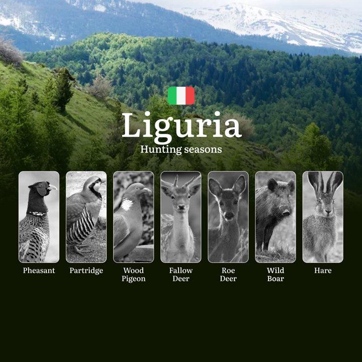 Liguria Hunting Guide Season: Dates, Prime Locations & Regulations – From September Openers to January Closures