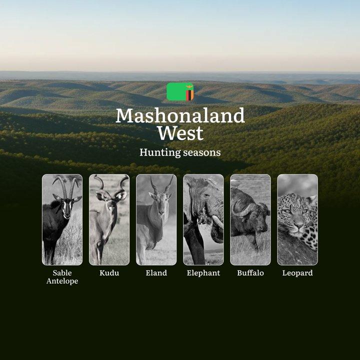 When the Miombo Whispers and Kariba Calls: Mashonaland West's Seven-Month Hunting Seasons, Events and Regulations