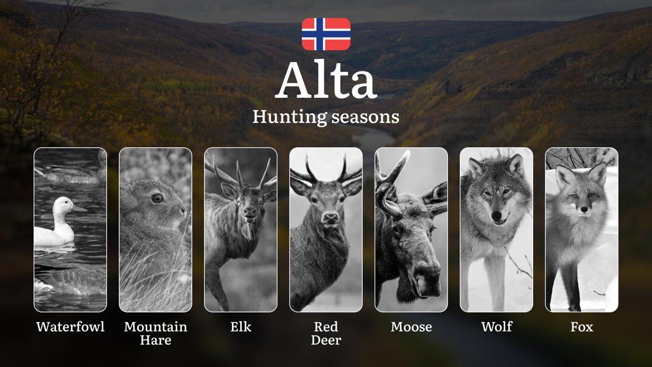 Hunting Seasons in Alta: Regulations, Permits, and Time for Hunting, Documents and Organizations