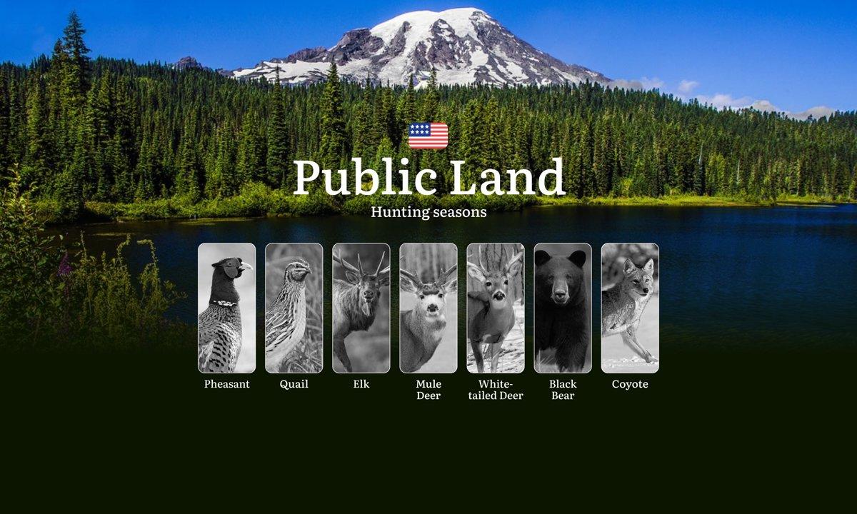 Post Card