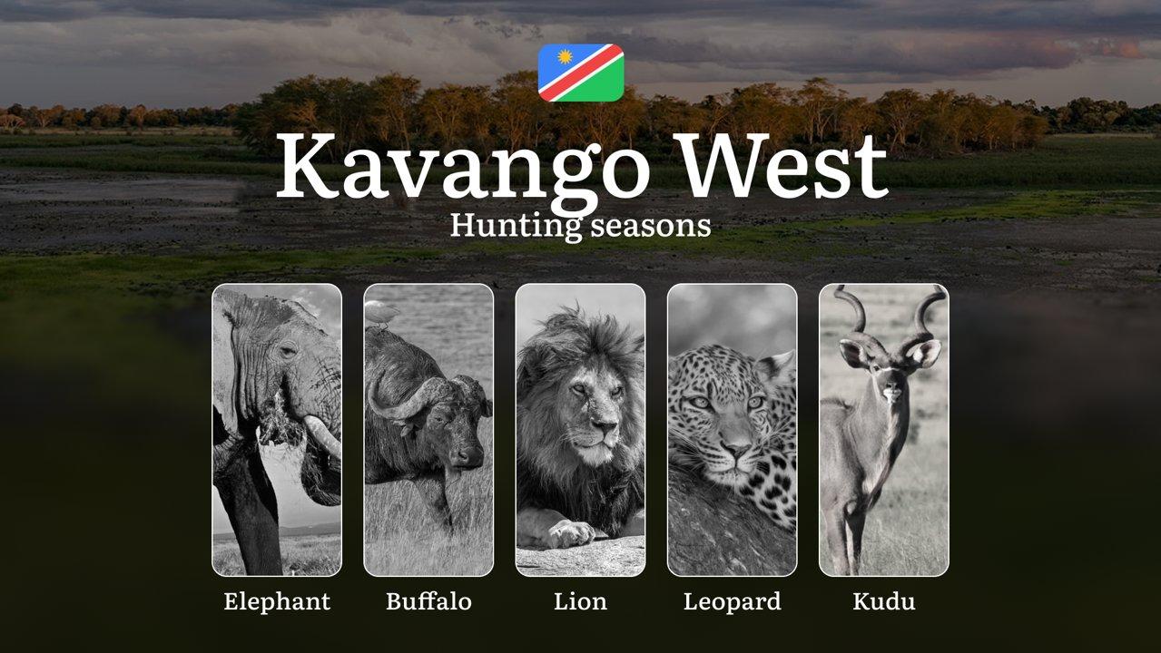 Hunting Seasons in Kavango West: Territorial Regulations, Getting Licensed, Legal Risks of Off-Season Activity, Insights on Planning, Choosing Equipment

Kavango West is 